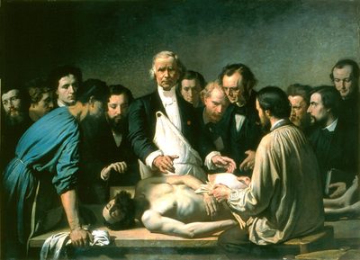 anatomie de Velpeau à la Charité