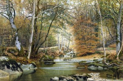 Autumn Woods