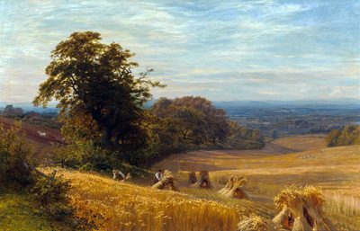 Cornfield at Abingdon, Berks