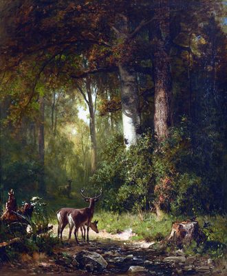 Deer in a Thicket