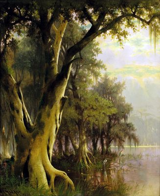 Florida Lowlands