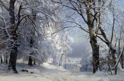 Forest in Winter