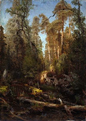 Forest Study