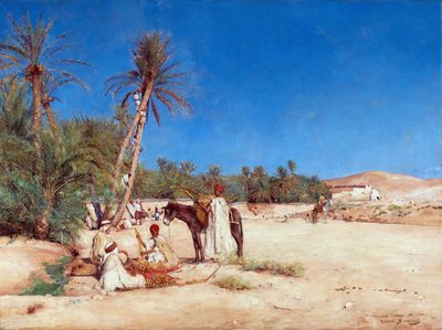 Harvesting dates in the oasis of Chetma