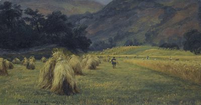 Haystacks, Rydal, Cumbria