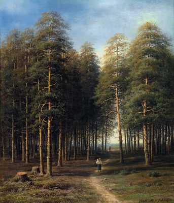 In the Forest