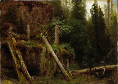Landscape Study with decaying Trees