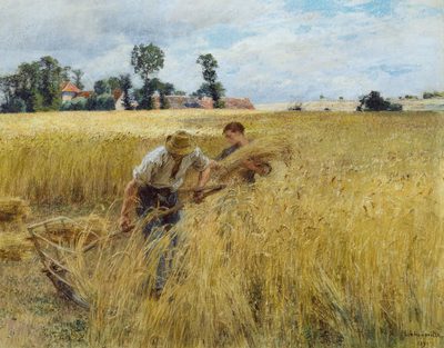 Moisson Prés du ru Chailly