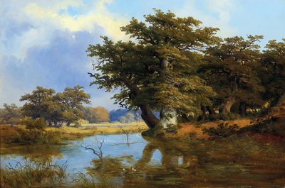 Old Oak Trees on the Riverbank