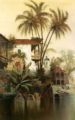 Palms