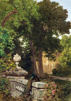 Park landscape