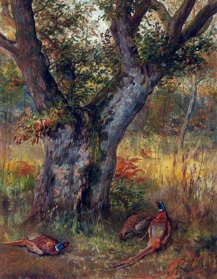 Pheasants in the Undergrowth