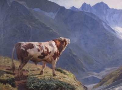Taureau dans les Alpes 'Bull in the Alps'