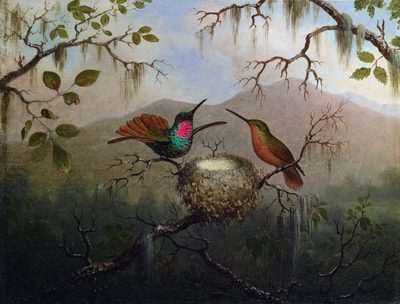 Two Hummingbirds at a Nest