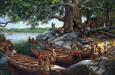 We Dined in a Hollow Cottonwood Tree
