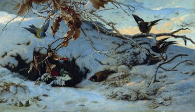 Winter